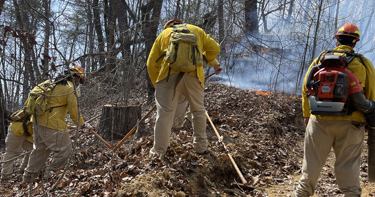 Pompiers luttant contre un incendie de forêt.